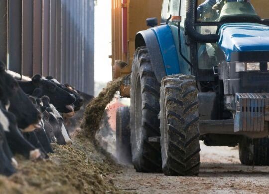 21.3.15 Time to Reevaluate the True Cost of Shrink