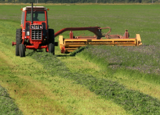 Hay Mowing Equipment